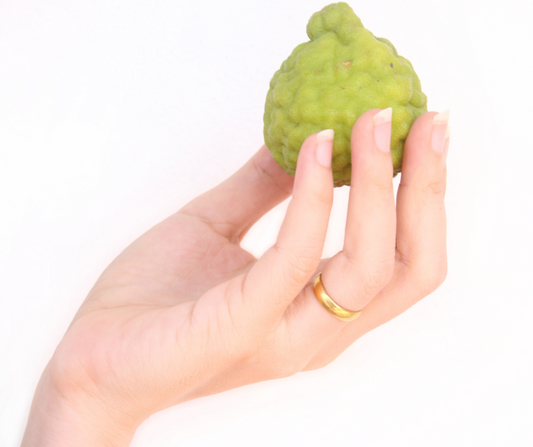 Green Bergamot sliced on green leafs