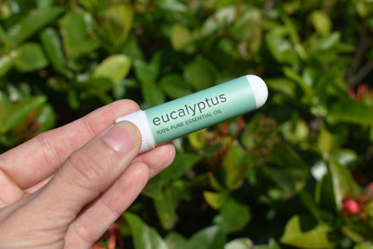 Eucalyptus Inhalers