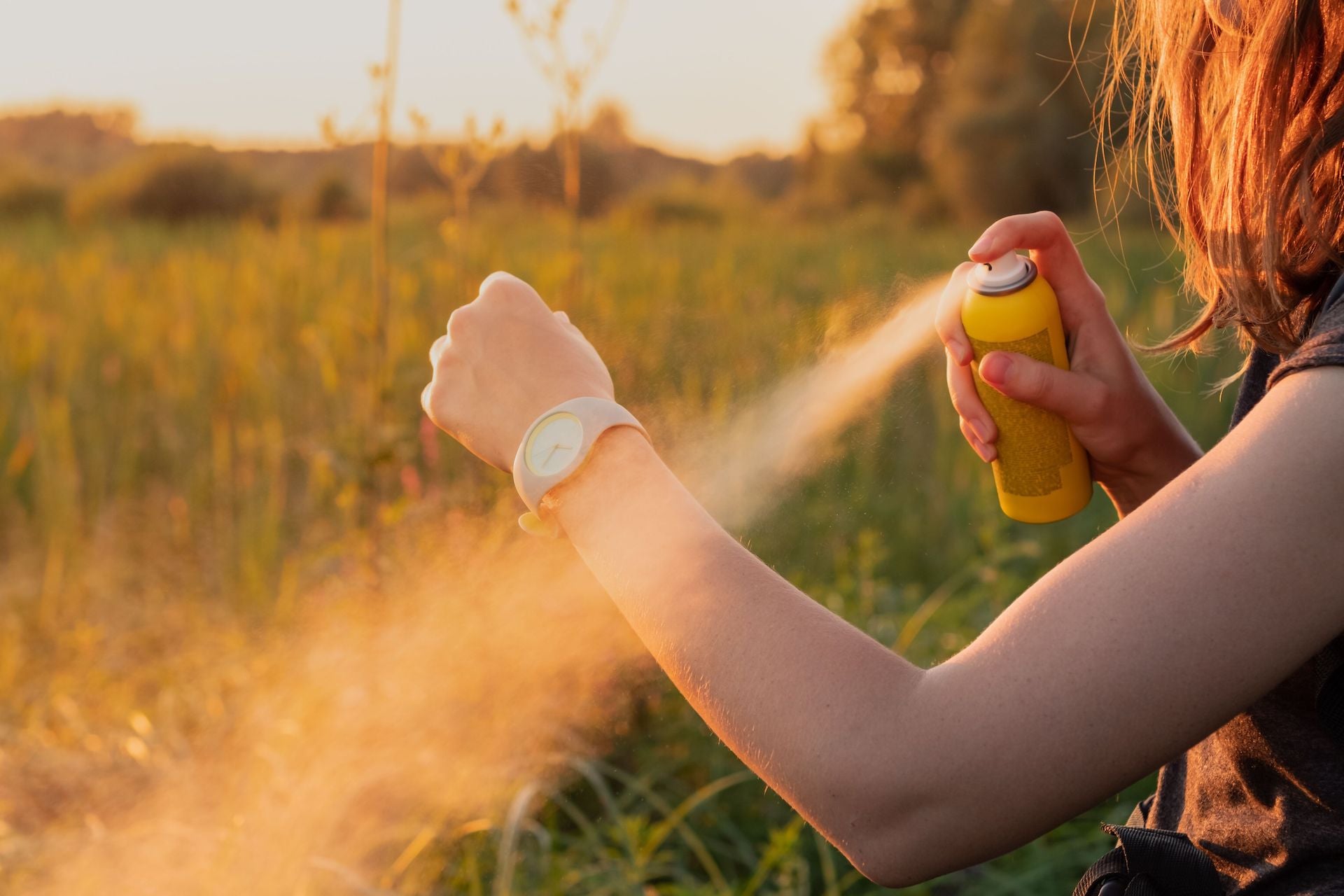 Does Lemon Eucalyptus Oil Really Work as an Insect Repellent?