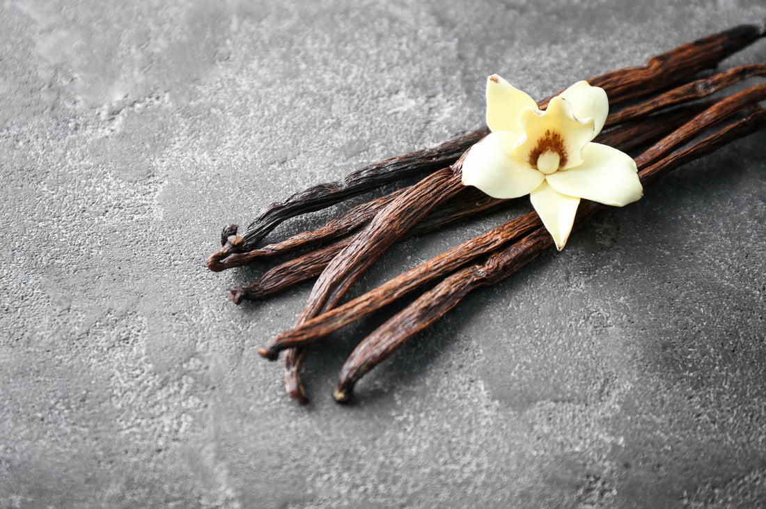 flowers of the vanilla plant from which vanilla essential oil is extracted