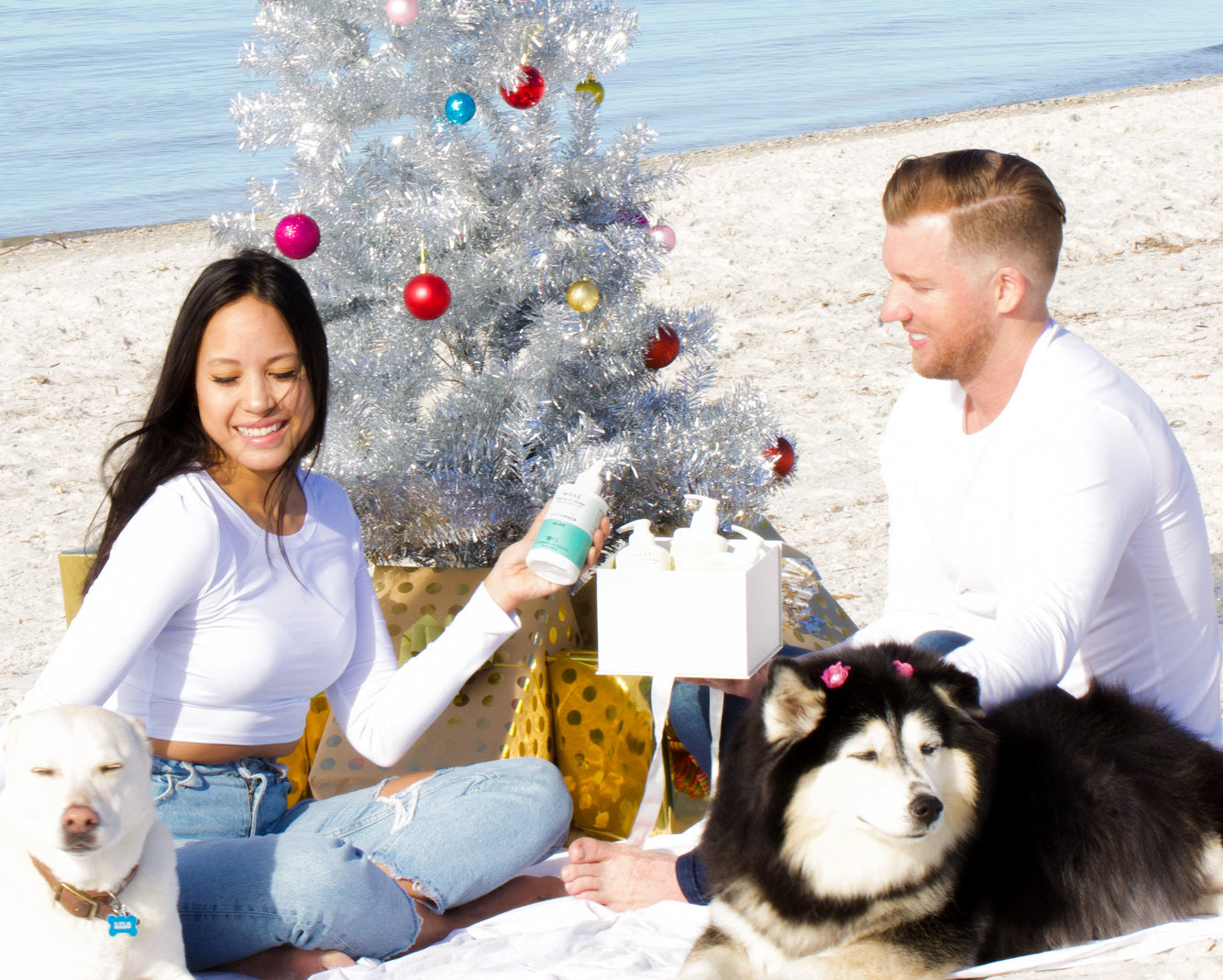 couple sitting at the beach with a silver Christmas tree on a sunny day