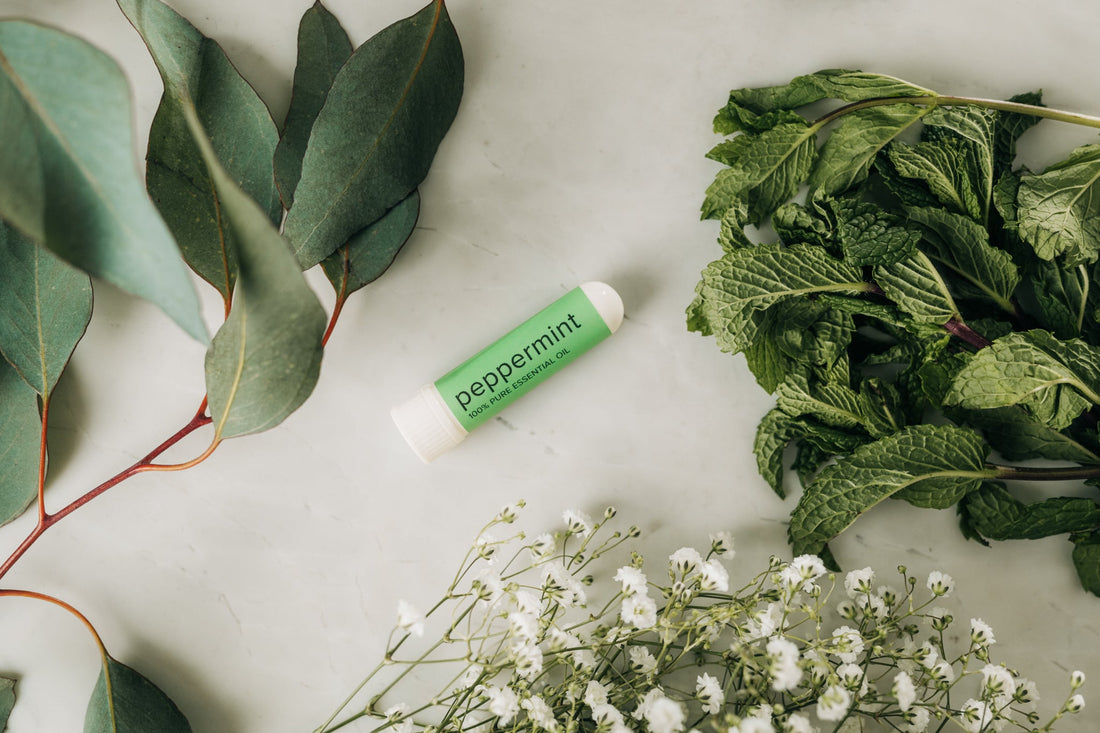 smell loss therapy