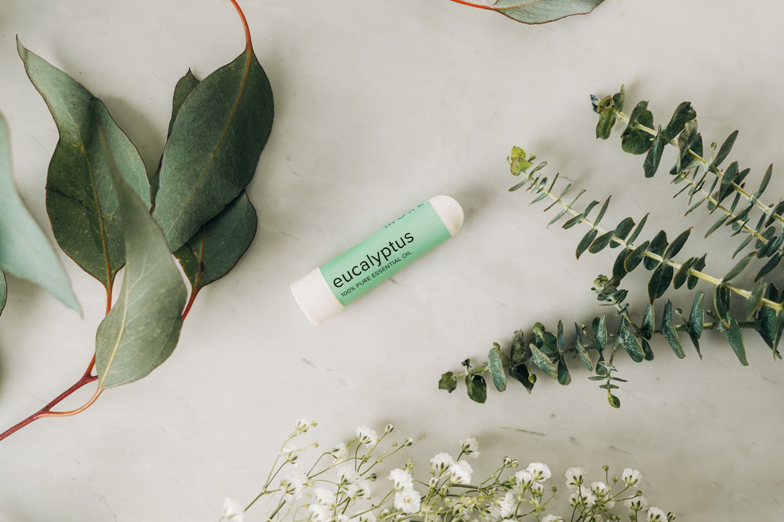 eucalyptus inhaler