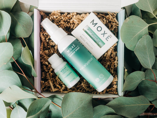 essential oil set