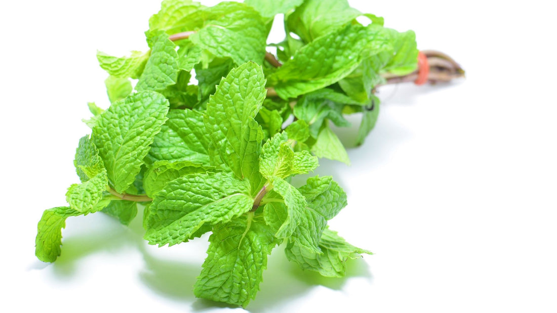 Fresh peppermint leaves 