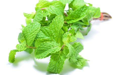 Fresh peppermint leaves 