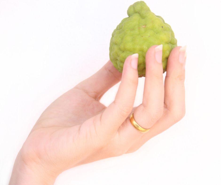 Green Bergamot sliced on green leafs 