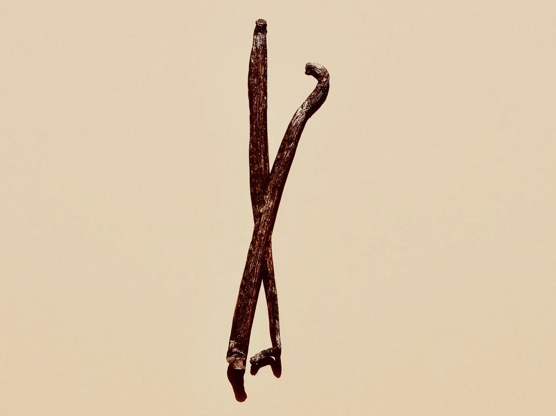 Image of a Vanilla Pod