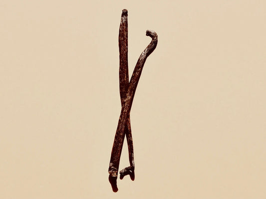 Image of a Vanilla Pod