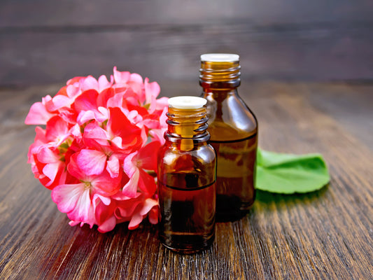 The Benefits of Geranium Essential Oil - An Ancient, Natural Remedy