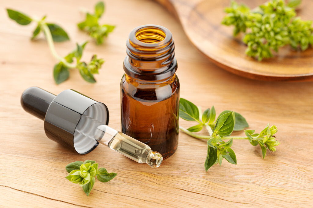 oregano essential oil