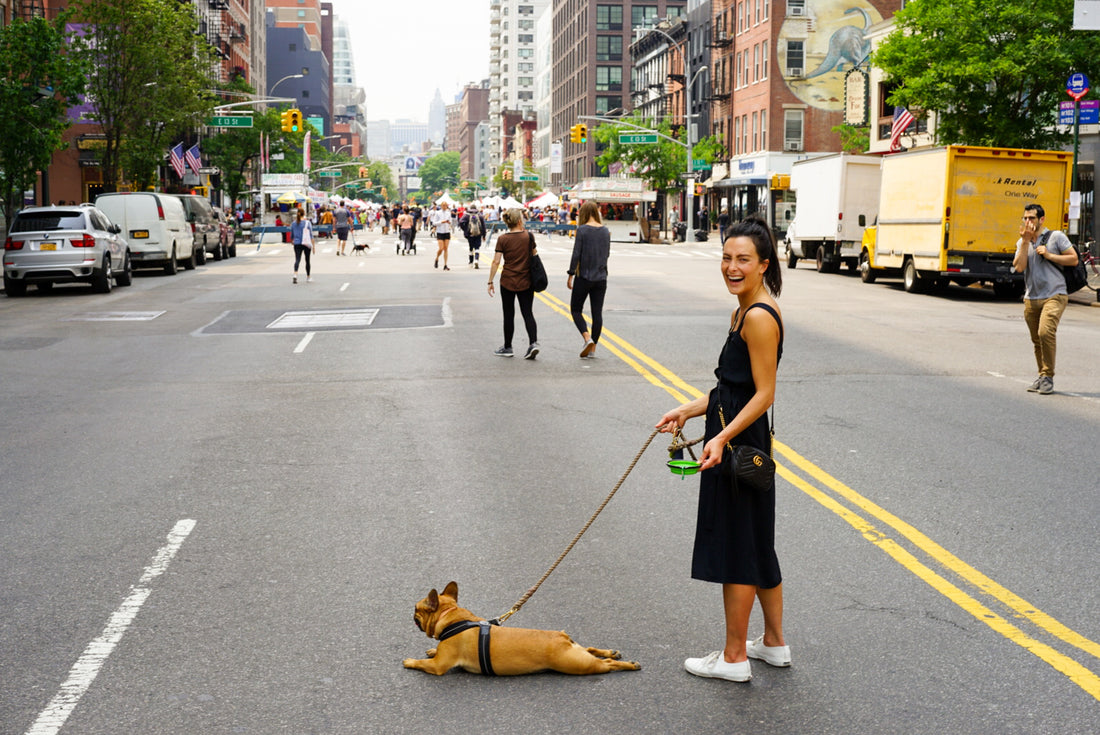 Women walking her dog but the dog is lying in the middle of the road