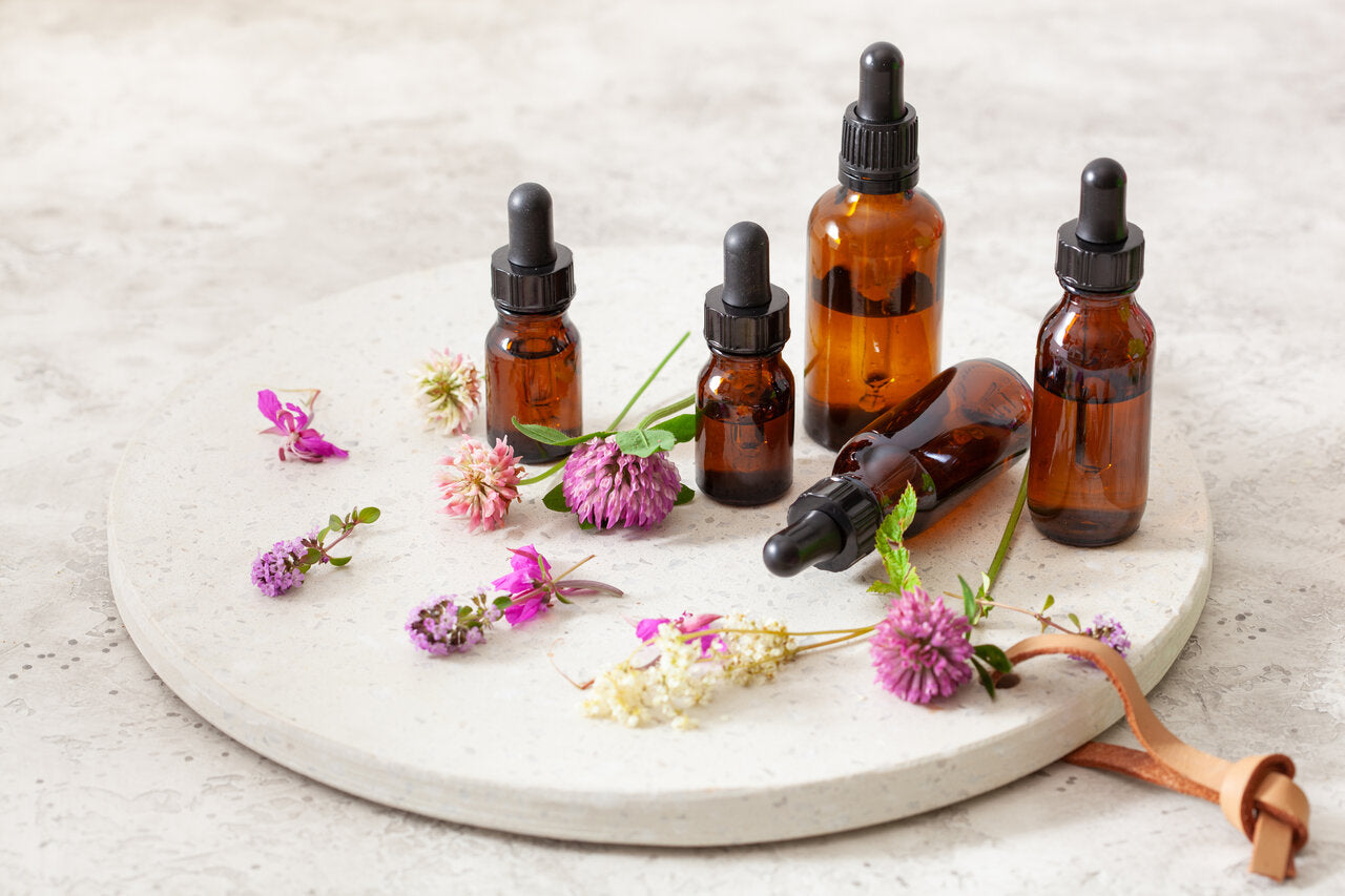 Strengthen Your Immune System with MOXE's Essential Oils