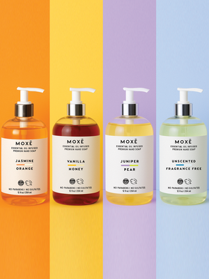 Liquid Hand Soap Variety 4 Pack - 12 Ounces