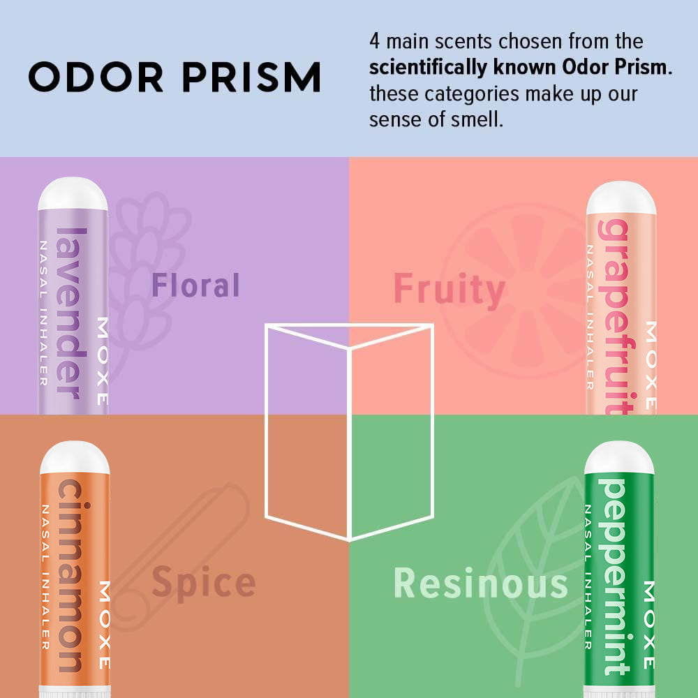 Smell Therapy Kit Phase II | Advanced Scent Retraining & Olfactory
