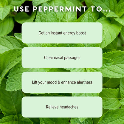 Peppermint Nasal Inhaler