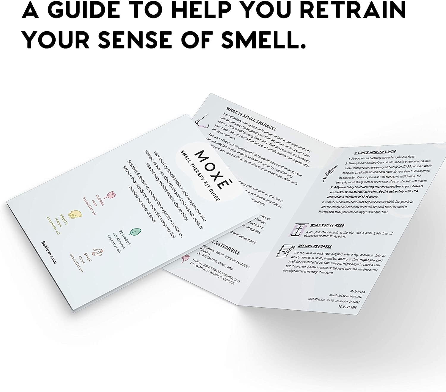 Smell Therapy Bundle | Complete Scent Retraining & Olfactory Support ...