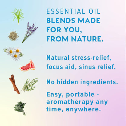 Ultimate Try-All Nasal Inhaler Bundle