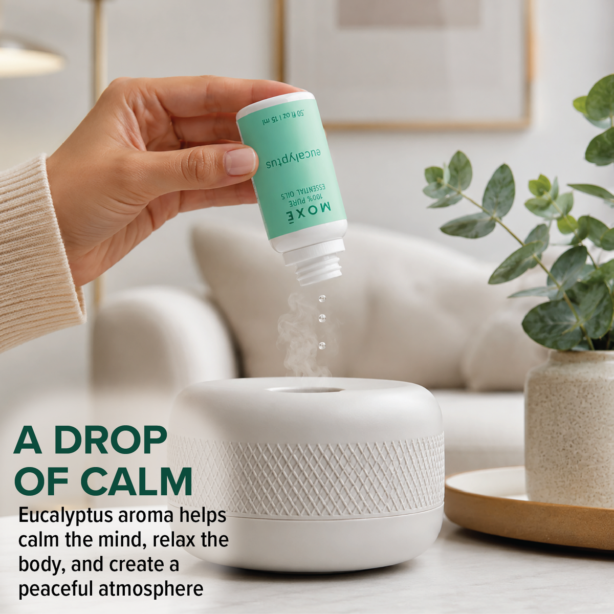 Eucalyptus Gift Set