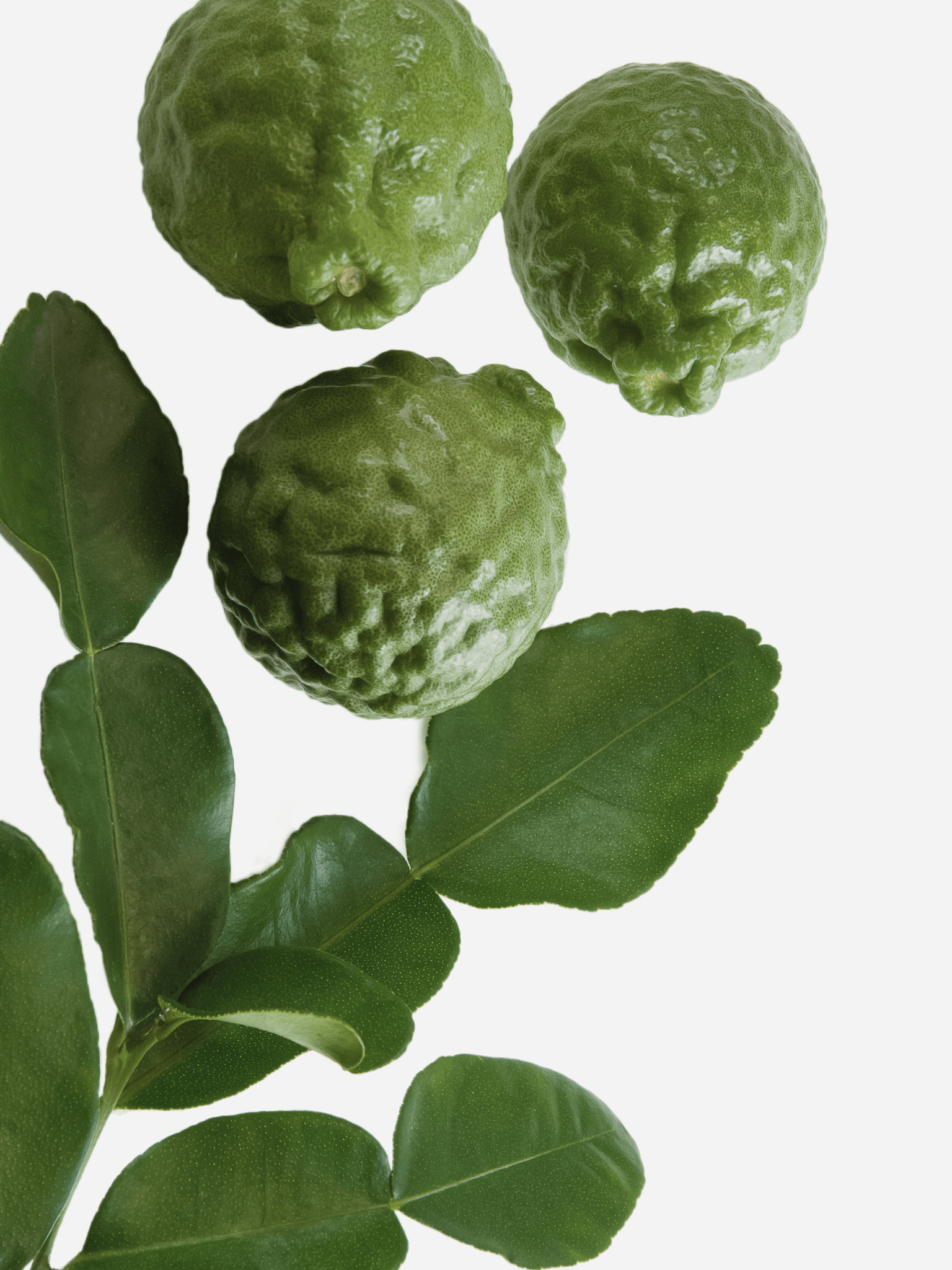 Three fresh bergamots surrounded by its leaves