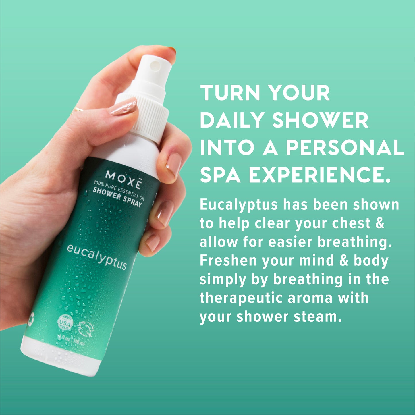 Eucalyptus Gift Set
