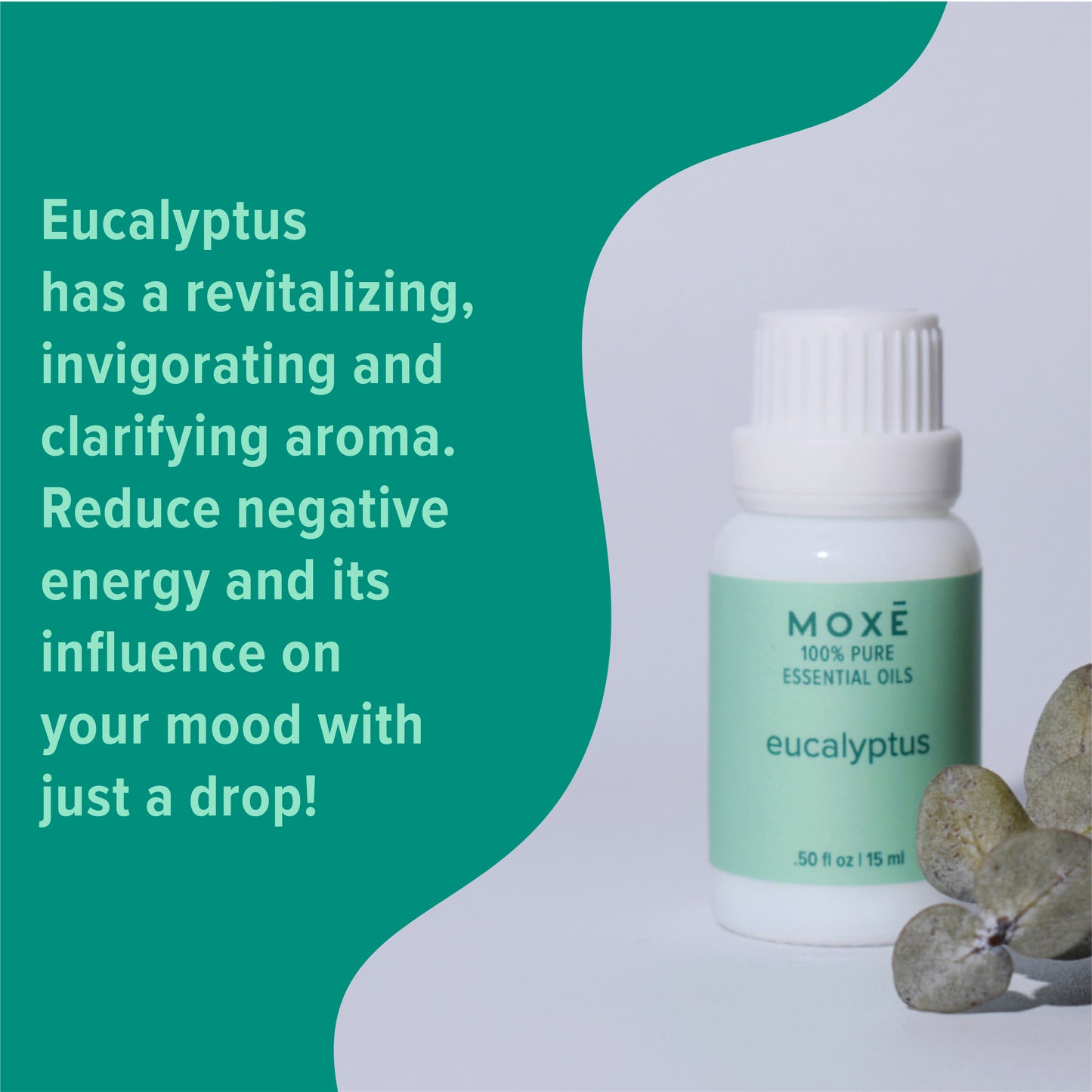 Eucalyptus Gift Set