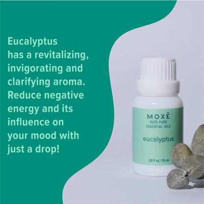 Eucalyptus Gift Set