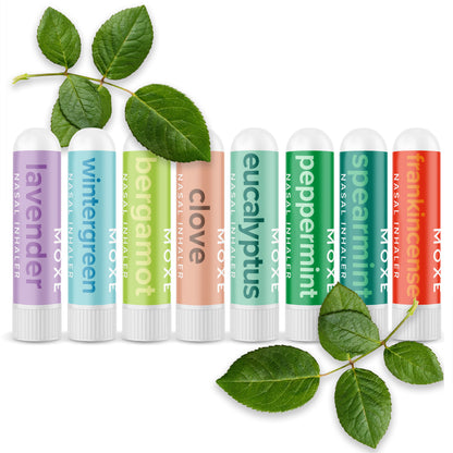 Bundle - Single Notes Nasal Inhaler