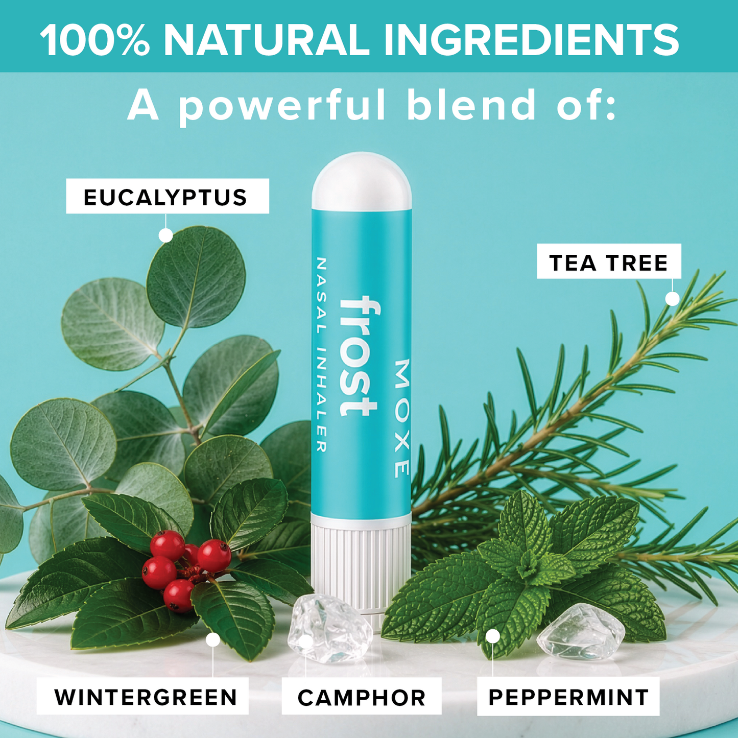 Frost Nasal Inhaler