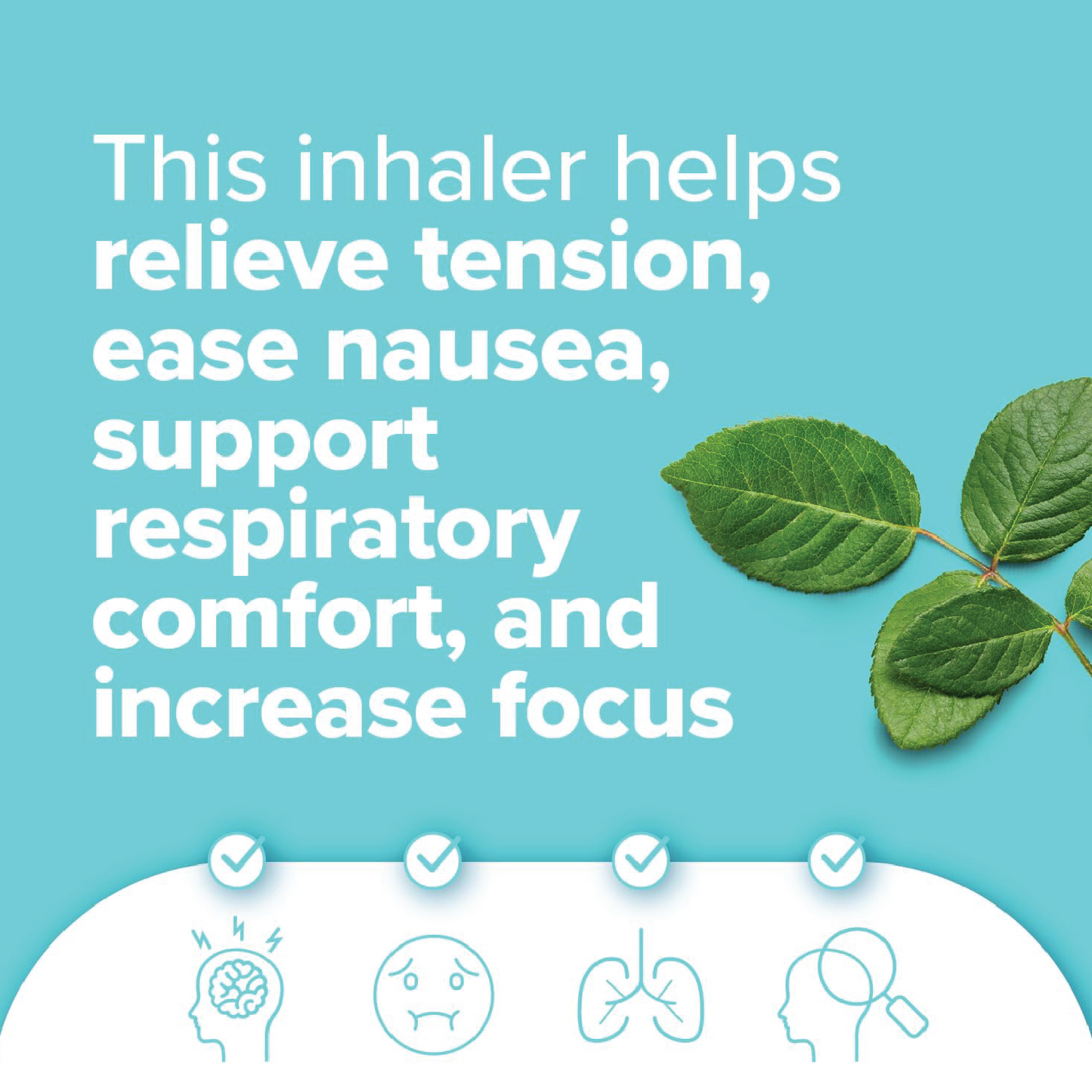 Frost Nasal Inhaler
