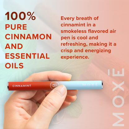 Cinnamint Natural Smokeless Air Device