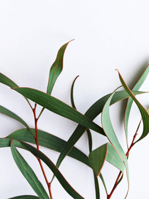 MOXĒ Eucalyptus Aromatherapy Nasal Inhaler - View 2